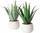 Bimë plastike aloe MONDRAGO, 29 cm, në vazo, jeshile e çelët