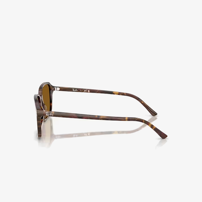 Ray-Ban RB2231 141833 58