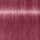 Ngjyrë për flokë Schwarzkopf Igora Vibrance Pastel, 9,5-98, 60 ml