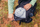 Çantë shpine për hiking Gregory Stout, 35 L