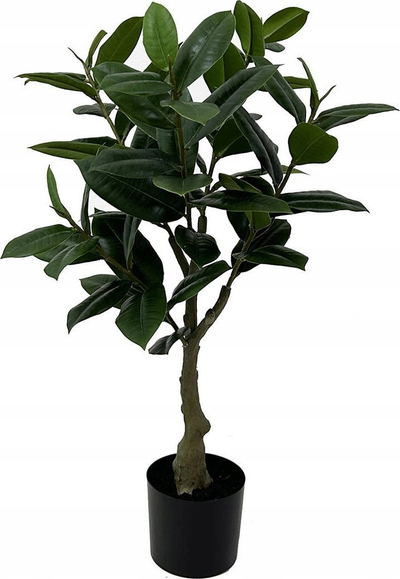 Bimë artificiale Present Time Rubber Tree, dekorative, jeshile
