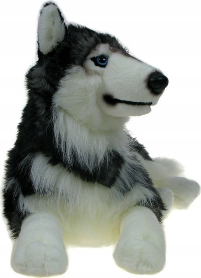 Lodër pelushi Dubi Husky i shtrirë, 60cm, gri me të bardhë