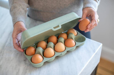 Kuti vezësh Koziol Eggs To Go, për 10 vezë, plastike, jeshile