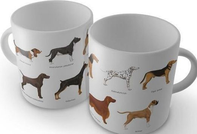 Filxhan Soliton Dogs, i bardhë