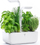 Kopsht inteligjent Véritable Classic CAWAWCZSK59, 2L, LED, i bardhë
