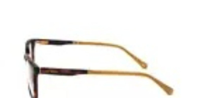 Syze Optike Ted Baker 8249 106