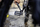 Grusht furçe pastrimi Karcher Detail Brush Nozzle për OC 3, për pastrim në detaj, e verdhë