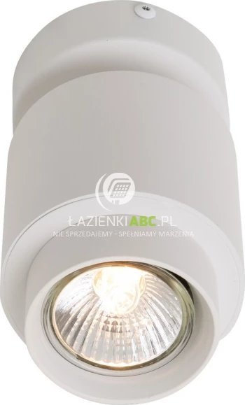 Spot tavani Zuma Line SCOPY 1 ACGU10-150, GU10 50W, i bardhë