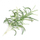 Rimbushje Veritable Rosemary Lingot, fara rozmarine bio, e biodegradueshme, kafe