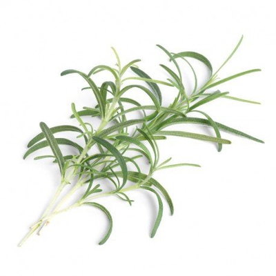 Rimbushje Veritable Rosemary Lingot, fara rozmarine bio, e biodegradueshme, kafe