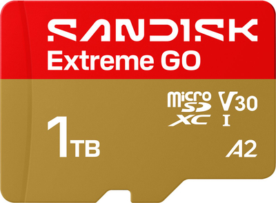Kartë memorie SanDisk Extreme GO MicroSDXC, 1TB, Class 10 UHS-I U3 A2 V30, e artë
