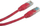 Kabllo patchcord UTP Cat.5e, 0.25m, e kuqe