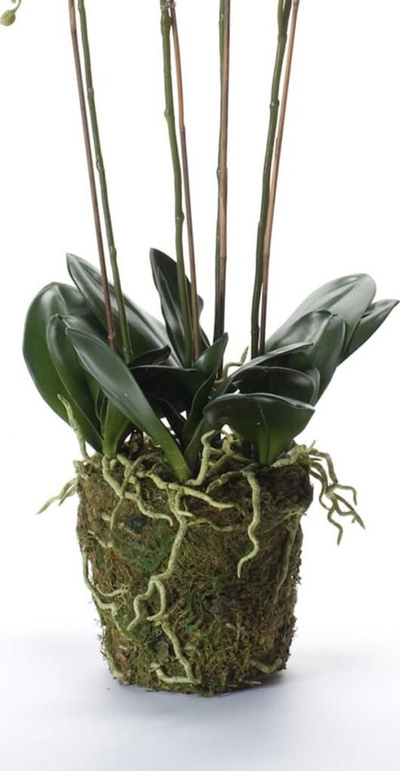Lule artificiale Emerald Phalaenopsis, 90 cm, me myshk, e bardhë