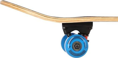 Skateboard Nils Extreme Sa Stones (CR3108SA), shumëngjyrësh