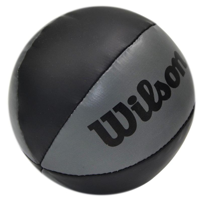 Mini tabelë basketbolli Wilson NBA Team WTBA1302NBABL, për mur, shumëngjyrëshe