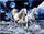 Set pikturimi me diamante Norimpex Diamond Mosaic, motiv 3 kuaj të bardhë, shumëngjyrësh