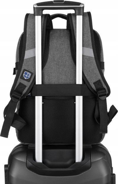 Çantë shpine Peterson për Ryanair, 40x20x25cm, 25L, gri