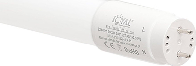 Tub LED Loyal Lighting 120cm, 3900K, i bardhë