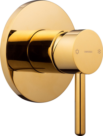Set bideti Omnires Bidetta Y Concealed, dush manual, GOLD