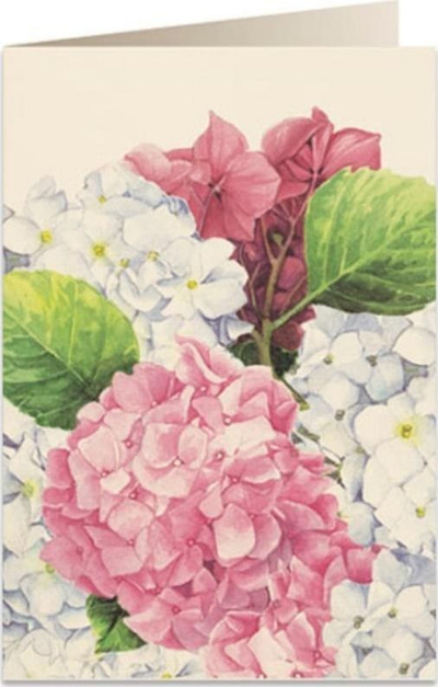Kartolinë Tassotti B6 Pink Hydrangea 5548, me zarf, rozë