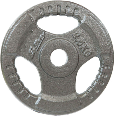 Диск за тежина Victoria Sport Hammertone Load Fi28, 2.5 kg, сив