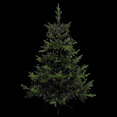 Dекоративна божиќна гирланда Feeric Lights, 170cm, ладно бели LED светла