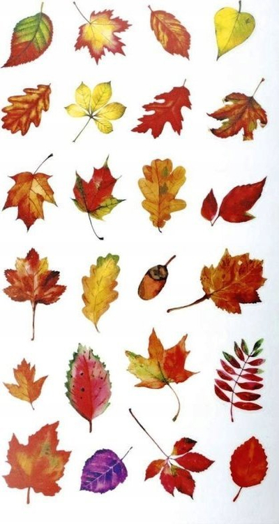 Stickerë dekorativë Titanum Foil Stickers Autumn Leaves, set me 24 copë, efekt metalik, shumëngjyrëshe