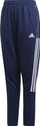 Pantallona Adidas TeamWear 2022, të kaltër