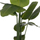 Bimë dekorative sintetike HM4739 Strelitzia, 172cm, me vazo 18cm, në vazo të zezë