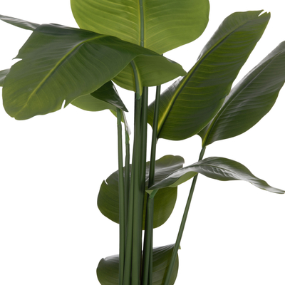 Bimë dekorative sintetike HM4739 Strelitzia, 172cm, me vazo 18cm, në vazo të zezë