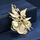 Brosh elegante Troli