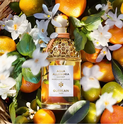 Eau de Toilette Guerlain Aqua Allegoria Harvest Mandarine Basilic, (i rimbushshëm)