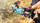 Gërshërë kopshti Makita UH005G, pa tel, 750mm, brushless, pa bateri