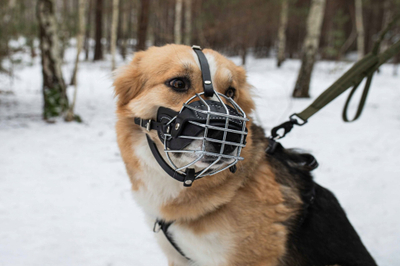 Maskë hekuri për qen PET NOVA MUZZLE METAL XL, përmasa XL, e zezë