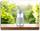 Shishe termus Buydeem CD1017, 0.5L, qelq, jeshile Cozy Greenish
