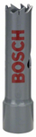 Disk shpues Bosch, 14 mm (2608584147)