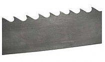 Shirit sharre Dedra DED (DED77061), 1425x6.6x0.3 mm