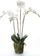 Lule artificiale Emerald Phalaenopsis, 90 cm, me myshk, e bardhë
