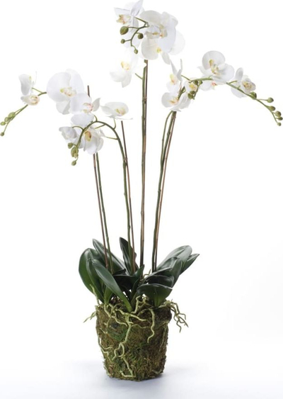 Lule artificiale Emerald Phalaenopsis, 90 cm, me myshk, e bardhë