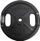 Disk peshe Sourcing YLPS36A, 20 kg, gize, me dy kapëse, gri