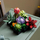 Set LEGO Creator Expert 10309 Succulents, 771 pjesë