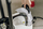 Fshesë me avull Karcher SC 5 EasyFix 1.512-660.0, e bardhë