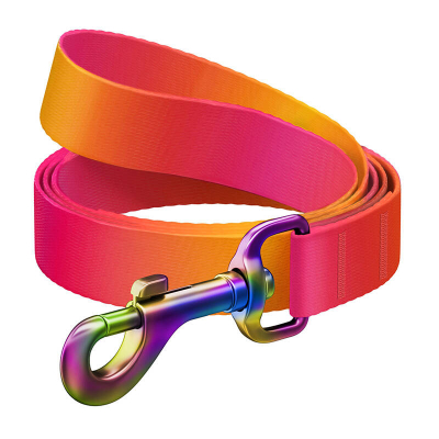 Zinxhir për qen Waudog Gradient, najlon 122cm, 20mm, portokalli rozë