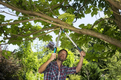 Gërshërë krasitje Gardena EasyCut 680B, për degë të forta, me doreza softgrip