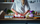 Кујнски ножици Wusthof Stainless Kitchen Shears 8", не'рѓосувачки челик, ергономска рачка, сребрени