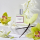 Eau De Parfum Clean Classic Skin, 30 ml