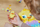 Lodër me ndërtesa Plus Plus Puzzle by Number Chick Logic, blloqe ndërtimi, STEM, me shumë ngjyra