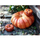 Enë gatimi qeramike Staub Cocotte Pumpkin, 12 cm, 0.5L, portokalli