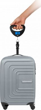 Peshore bagazhesh Teesa, deri 40 kg, ekran LCD, gri