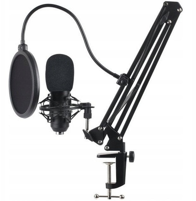 Mikrofon GamePro SM1604, USB, studio, i zi